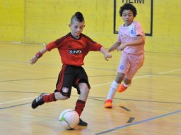 mini-DSC_6819